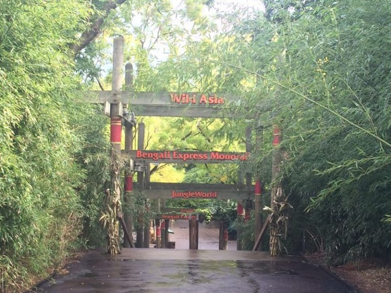 https://mdw-travel-data-us-east-1.s3.amazonaws.com/img/country/United-States/The-Bronx-Zoo/img_04.jpg