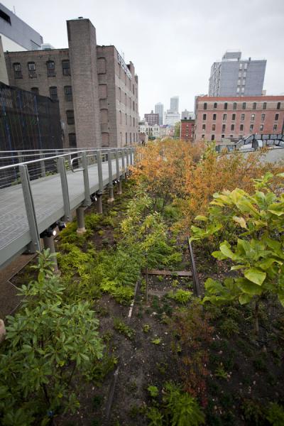 https://mdw-travel-data-us-east-1.s3.amazonaws.com/img/country/United-States/The-High-Line/img_05.jpg