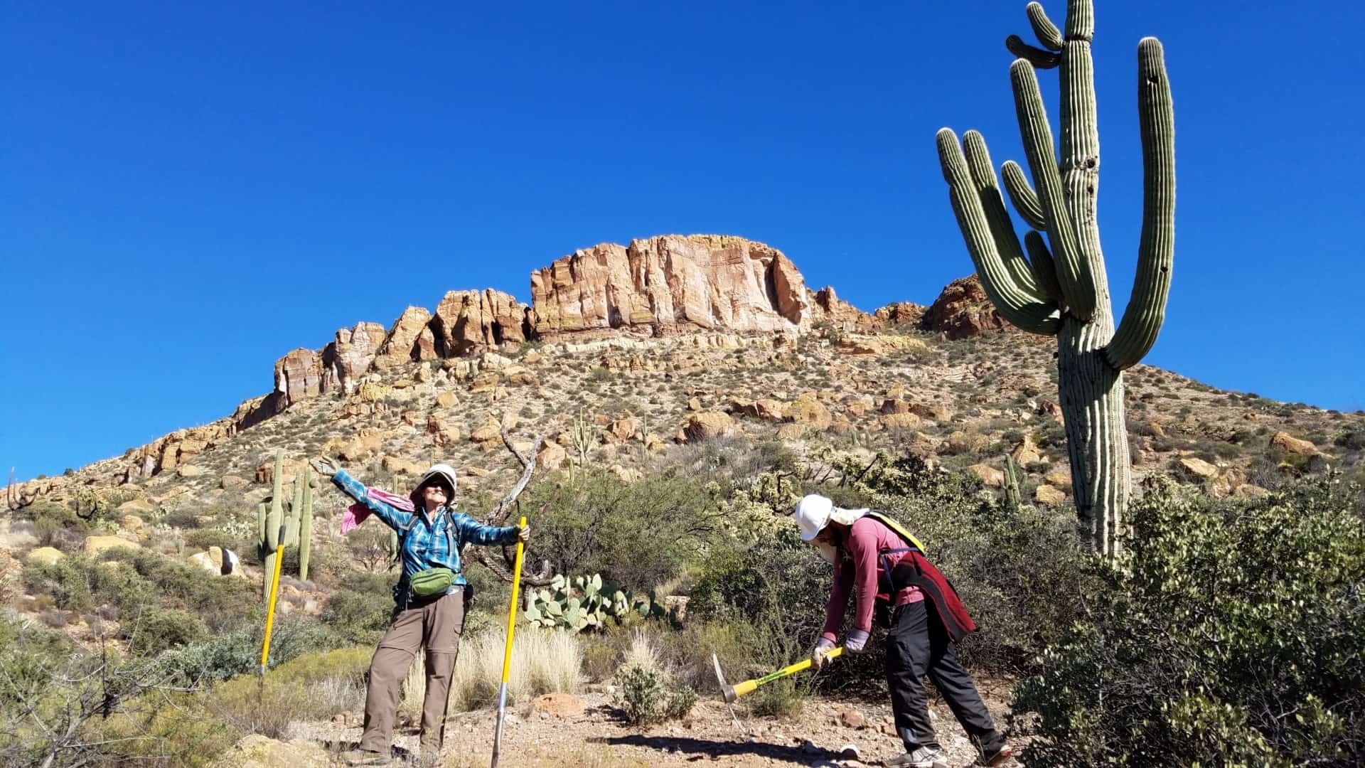 https://mdw-travel-data-us-east-1.s3.amazonaws.com/img/country/United-States/Tonto-National-Forest/img_01.jpg
