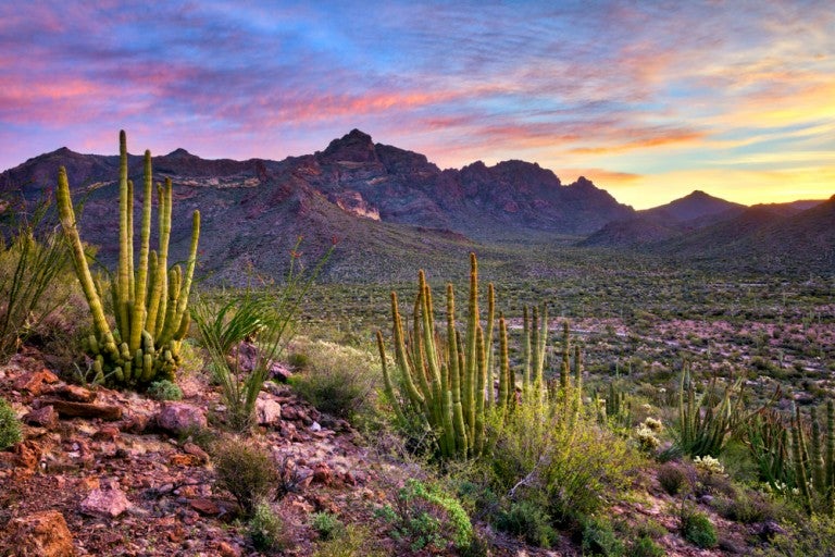 https://mdw-travel-data-us-east-1.s3.amazonaws.com/img/country/United-States/Tonto-National-Forest/img_02.jpg