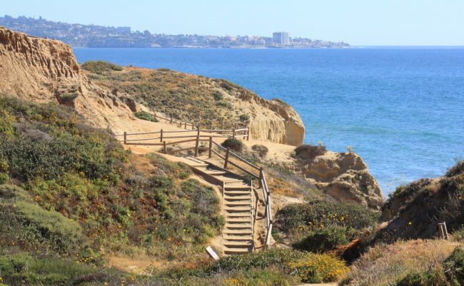 https://mdw-travel-data-us-east-1.s3.amazonaws.com/img/country/United-States/Torrey-Pines-State-Natural-Reserve/img_00.jpg