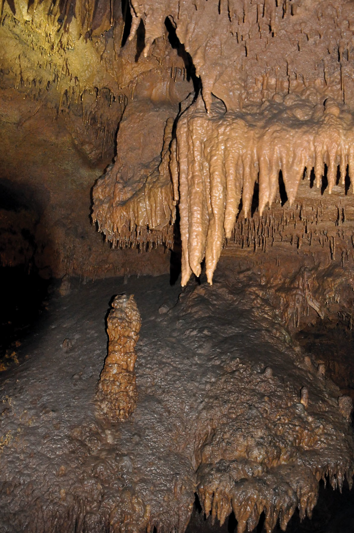 https://mdw-travel-data-us-east-1.s3.amazonaws.com/img/country/United-States/Tuckaleechee-Caverns/img_05.jpg
