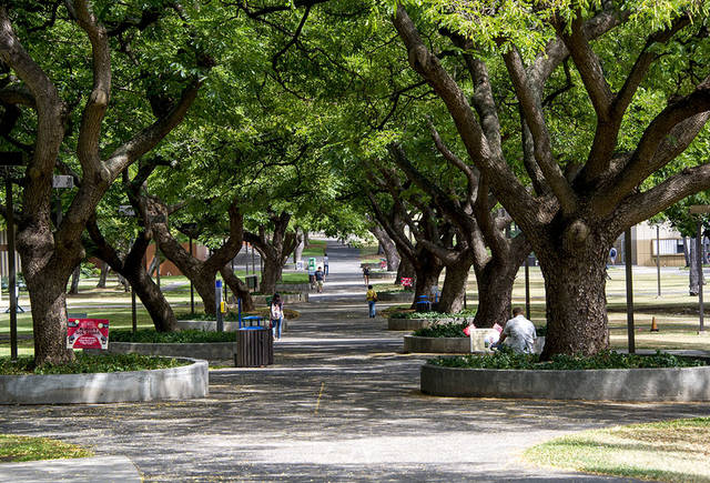https://mdw-travel-data-us-east-1.s3.amazonaws.com/img/country/United-States/University-of-Hawaii-at-Manoa/img_03.jpg