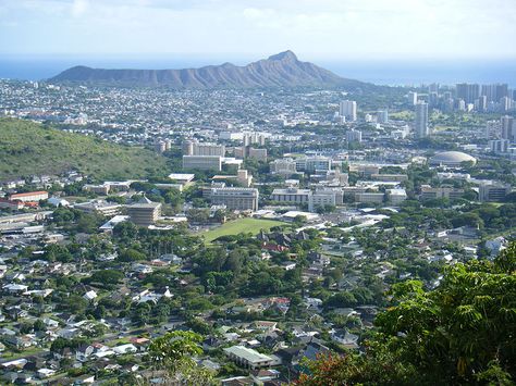 https://mdw-travel-data-us-east-1.s3.amazonaws.com/img/country/United-States/University-of-Hawaii-at-Manoa/img_05.jpg