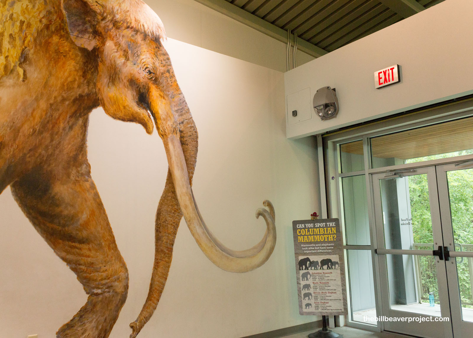 https://mdw-travel-data-us-east-1.s3.amazonaws.com/img/country/United-States/Waco-Mammoth-National-Monument/img_01.jpg