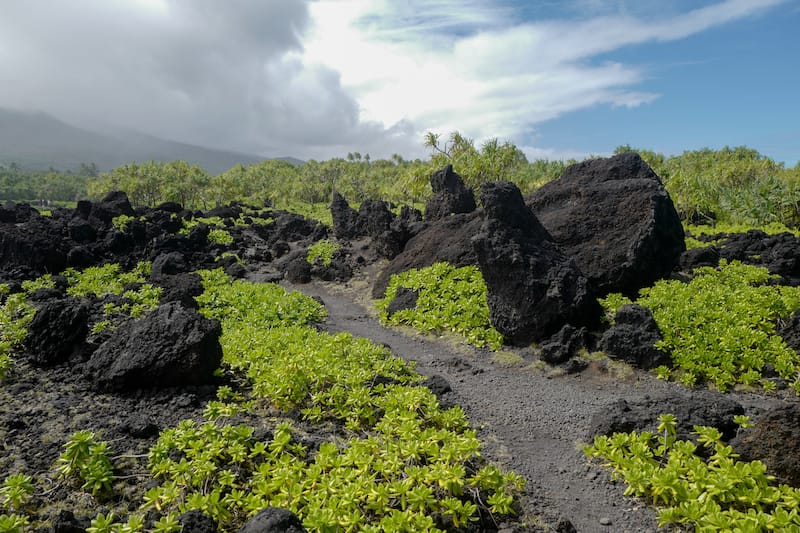 https://mdw-travel-data-us-east-1.s3.amazonaws.com/img/country/United-States/Waianapanapa-State-Park/img_02.jpg