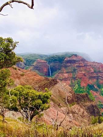 https://mdw-travel-data-us-east-1.s3.amazonaws.com/img/country/United-States/Waimea-Canyon-State-Park/img_01.jpg