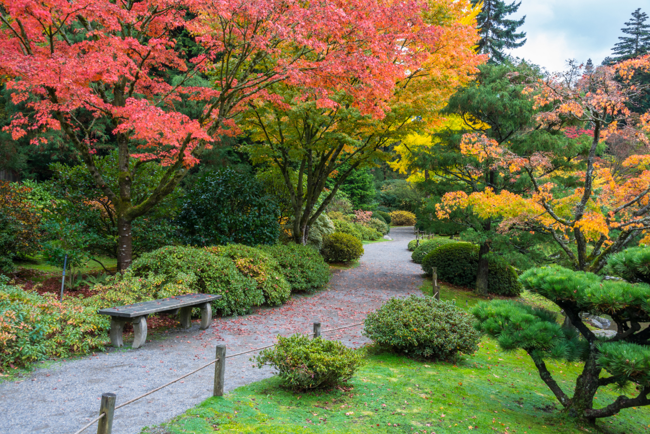 https://mdw-travel-data-us-east-1.s3.amazonaws.com/img/country/United-States/Washington-Park-Arboretum/img_00.jpg