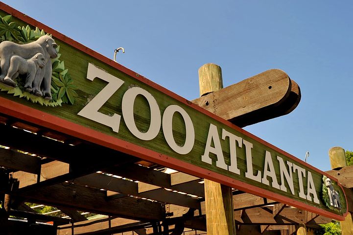 https://mdw-travel-data-us-east-1.s3.amazonaws.com/img/country/United-States/Zoo-Atlanta/img_03.jpg
