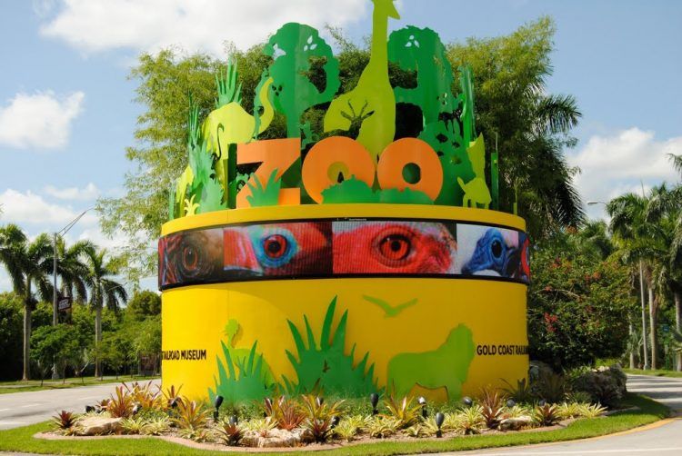 https://mdw-travel-data-us-east-1.s3.amazonaws.com/img/country/United-States/Zoo-Miami/img_00.jpg