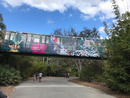 https://mdw-travel-data-us-east-1.s3.amazonaws.com/img/country/United-States/Zoo-Miami/img_01.jpg