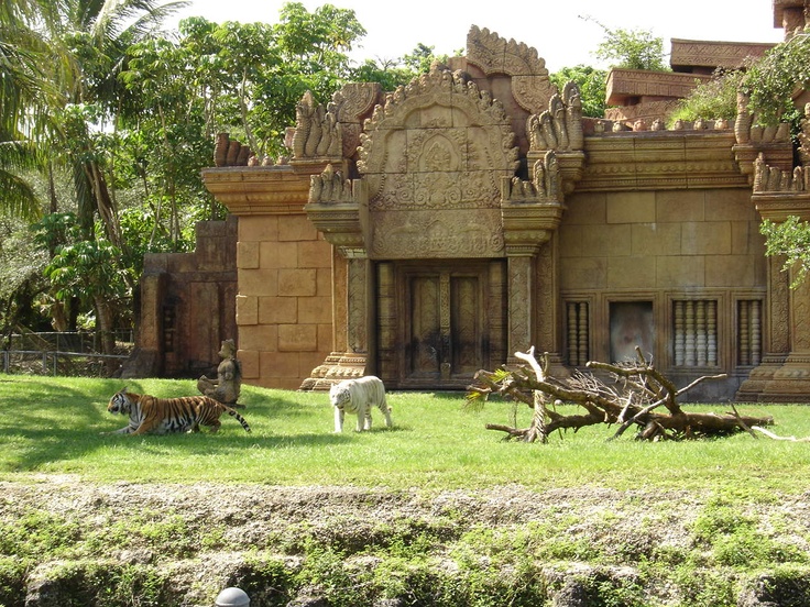 https://mdw-travel-data-us-east-1.s3.amazonaws.com/img/country/United-States/Zoo-Miami/img_02.jpg