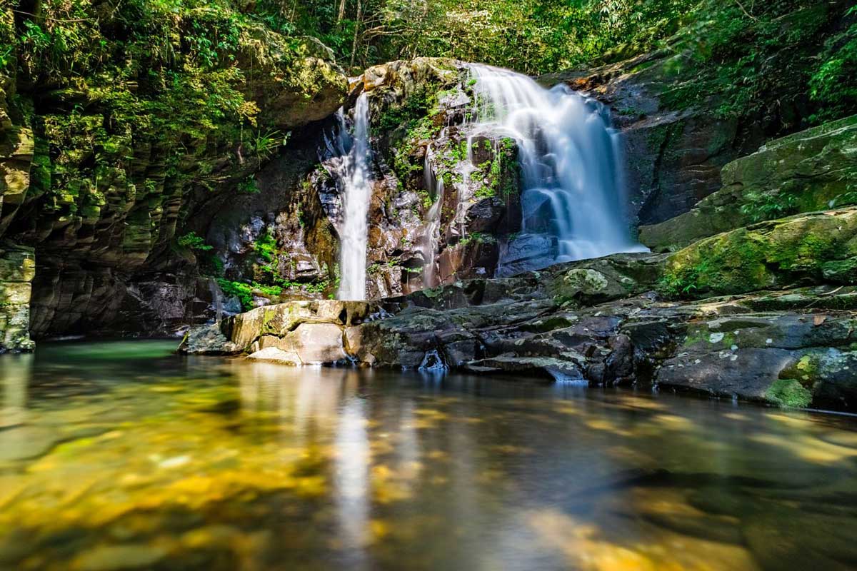 https://mdw-travel-data-us-east-1.s3.amazonaws.com/img/country/Vietnam/Bach-Ma-National-Park/img_03.jpg
