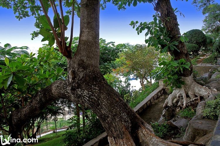 https://mdw-travel-data-us-east-1.s3.amazonaws.com/img/country/Vietnam/Bao-Gia-Trang-Vien-Garden/img_02.jpg