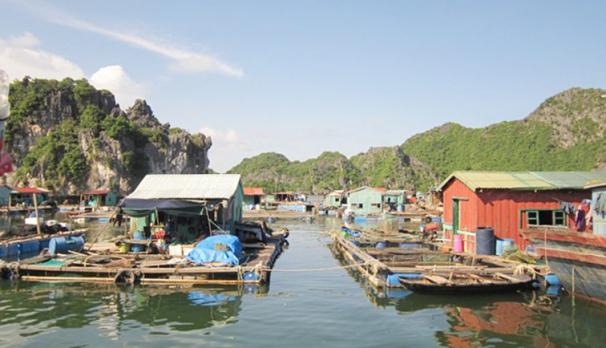 https://mdw-travel-data-us-east-1.s3.amazonaws.com/img/country/Vietnam/Ben-Beo-Harbor/img_01.jpg