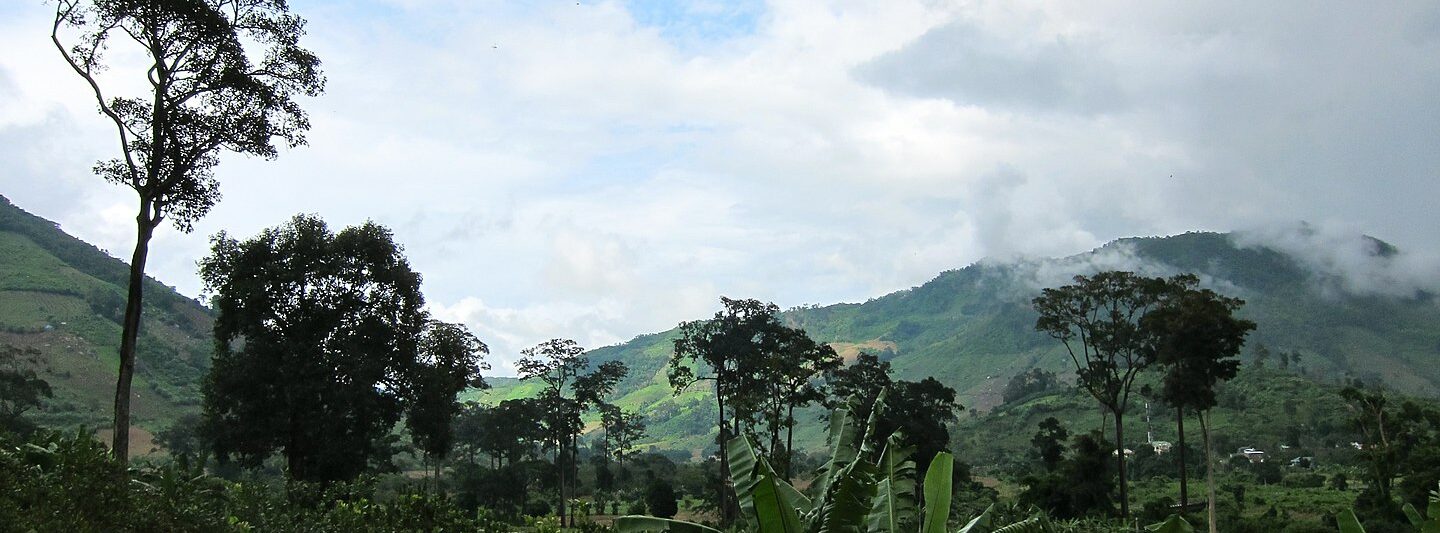 https://mdw-travel-data-us-east-1.s3.amazonaws.com/img/country/Vietnam/Binh-Phuoc-Province/img_05.jpg