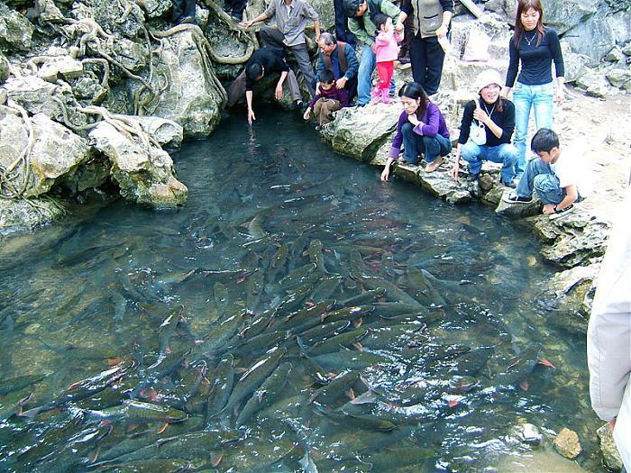 https://mdw-travel-data-us-east-1.s3.amazonaws.com/img/country/Vietnam/Cam-Luong-Fish-Stream/img_02.jpg