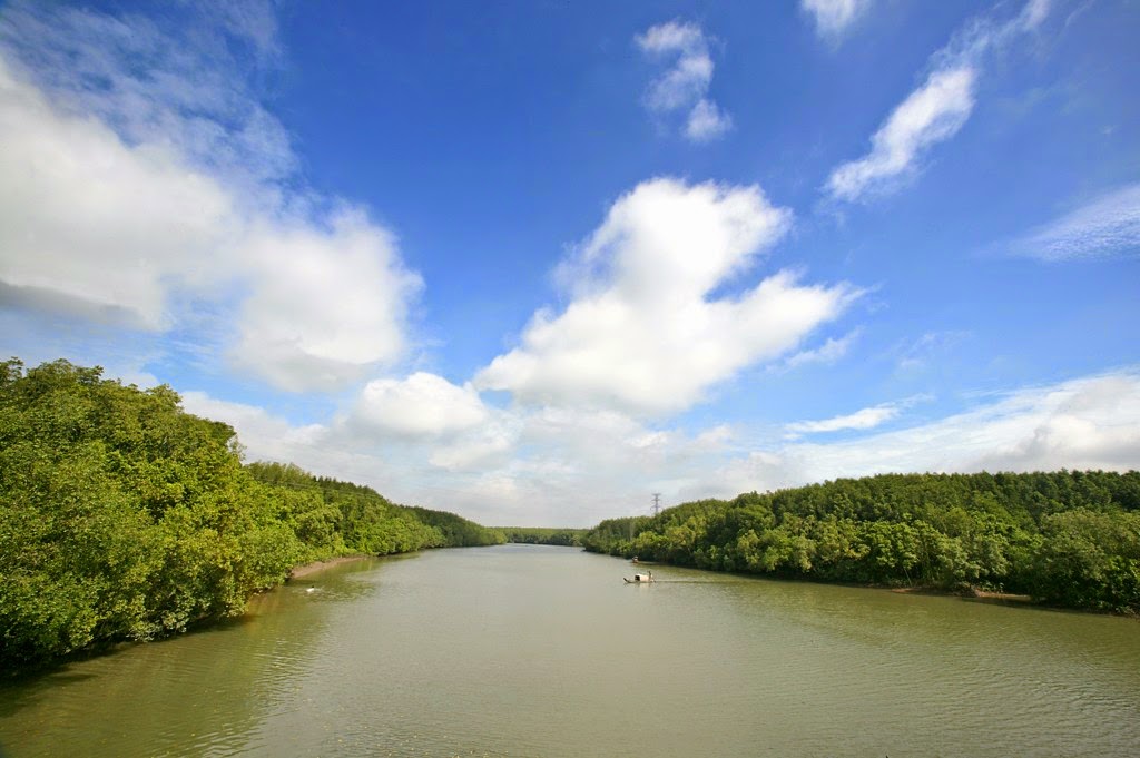 https://mdw-travel-data-us-east-1.s3.amazonaws.com/img/country/Vietnam/Can-Gio-Mangrove-Forest/img_01.jpg