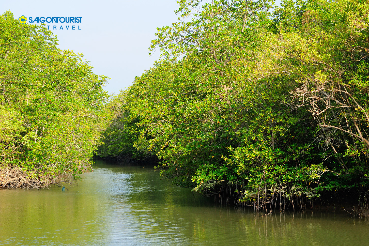 https://mdw-travel-data-us-east-1.s3.amazonaws.com/img/country/Vietnam/Can-Gio-Mangrove-Forest/img_03.jpg