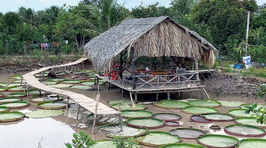https://mdw-travel-data-us-east-1.s3.amazonaws.com/img/country/Vietnam/Can-Tho/img_03.jpg