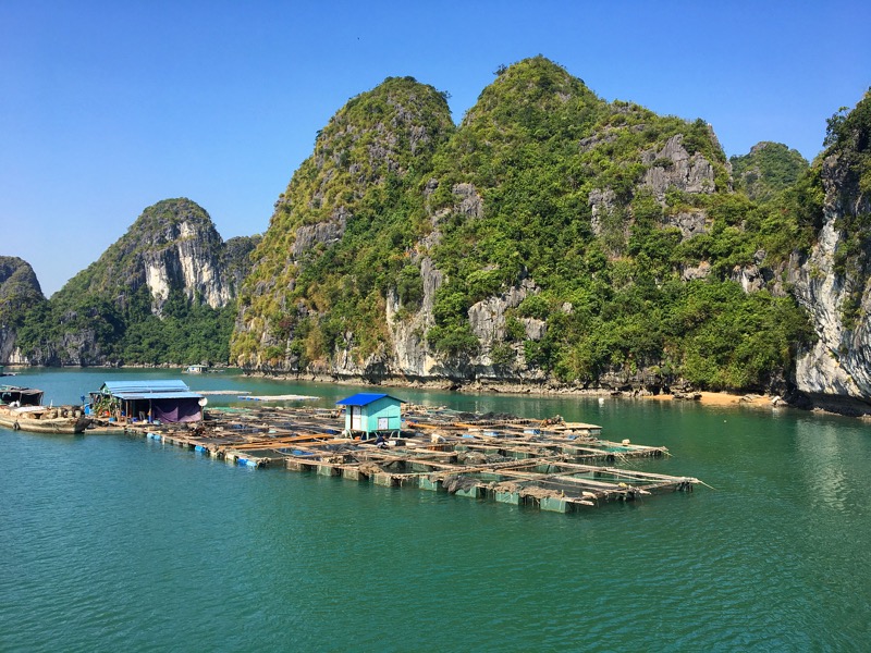 https://mdw-travel-data-us-east-1.s3.amazonaws.com/img/country/Vietnam/Cat-Ba-Island/img_01.jpg