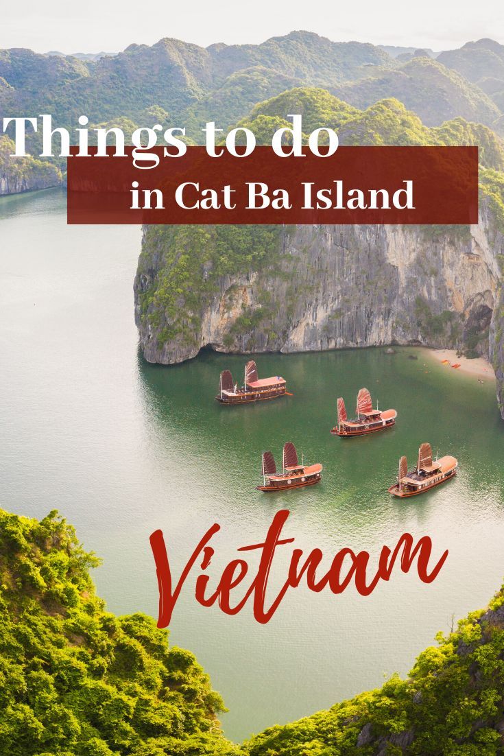 https://mdw-travel-data-us-east-1.s3.amazonaws.com/img/country/Vietnam/Cat-Ba-Island/img_02.jpg