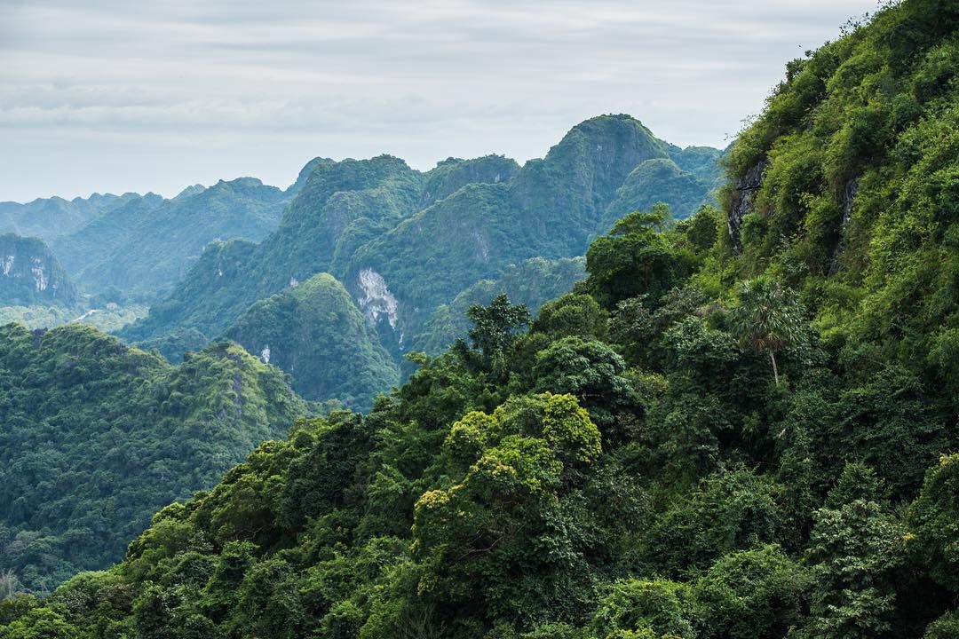 https://mdw-travel-data-us-east-1.s3.amazonaws.com/img/country/Vietnam/Cat-Ba-National-Park/img_02.jpg