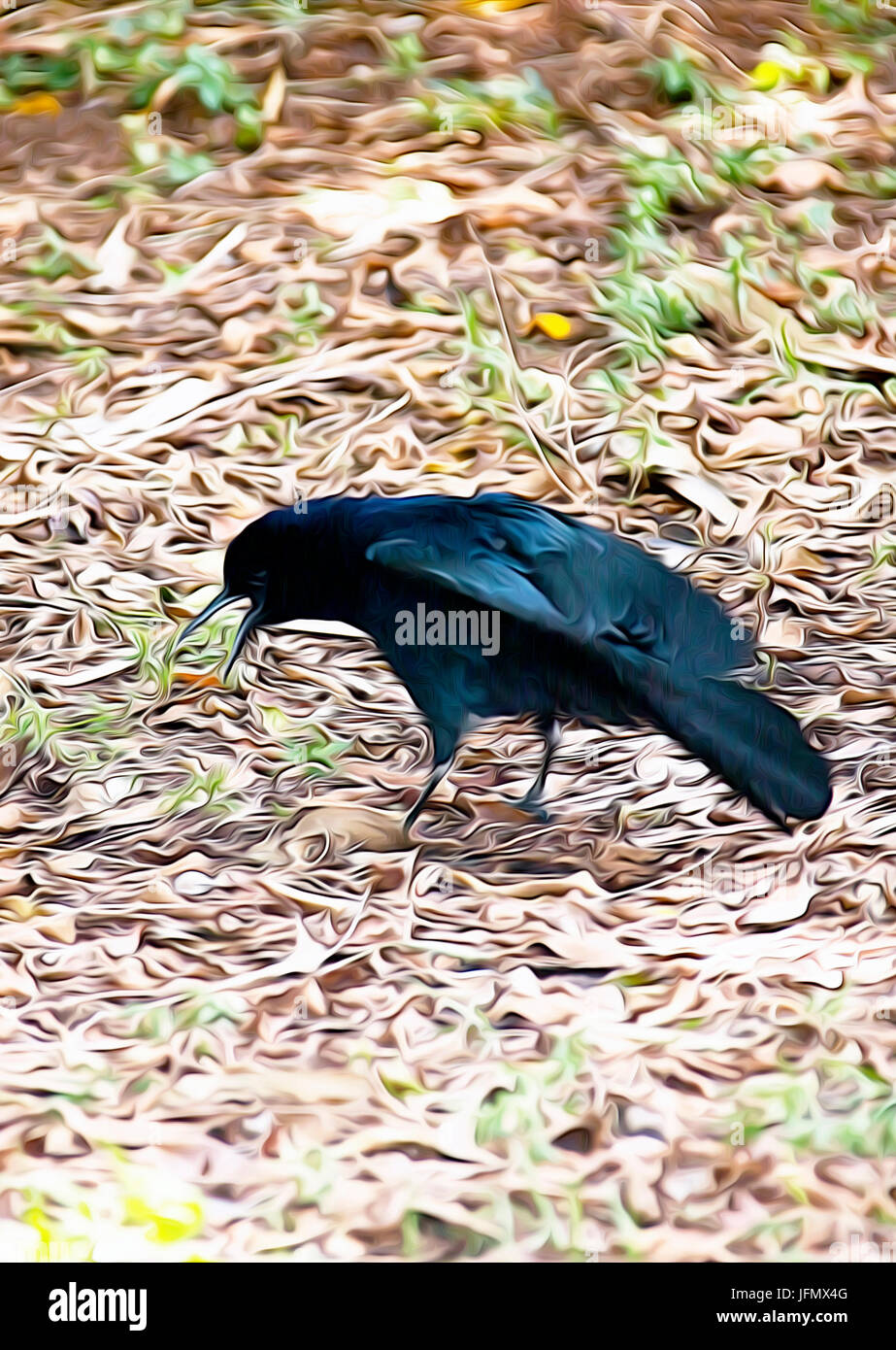 https://mdw-travel-data-us-east-1.s3.amazonaws.com/img/country/Vietnam/Churping-Bird-Hill/img_02.jpg