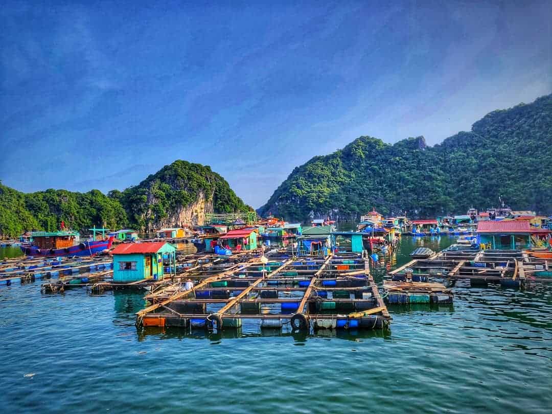 https://mdw-travel-data-us-east-1.s3.amazonaws.com/img/country/Vietnam/Cua-Van-Floating-Village/img_02.jpg