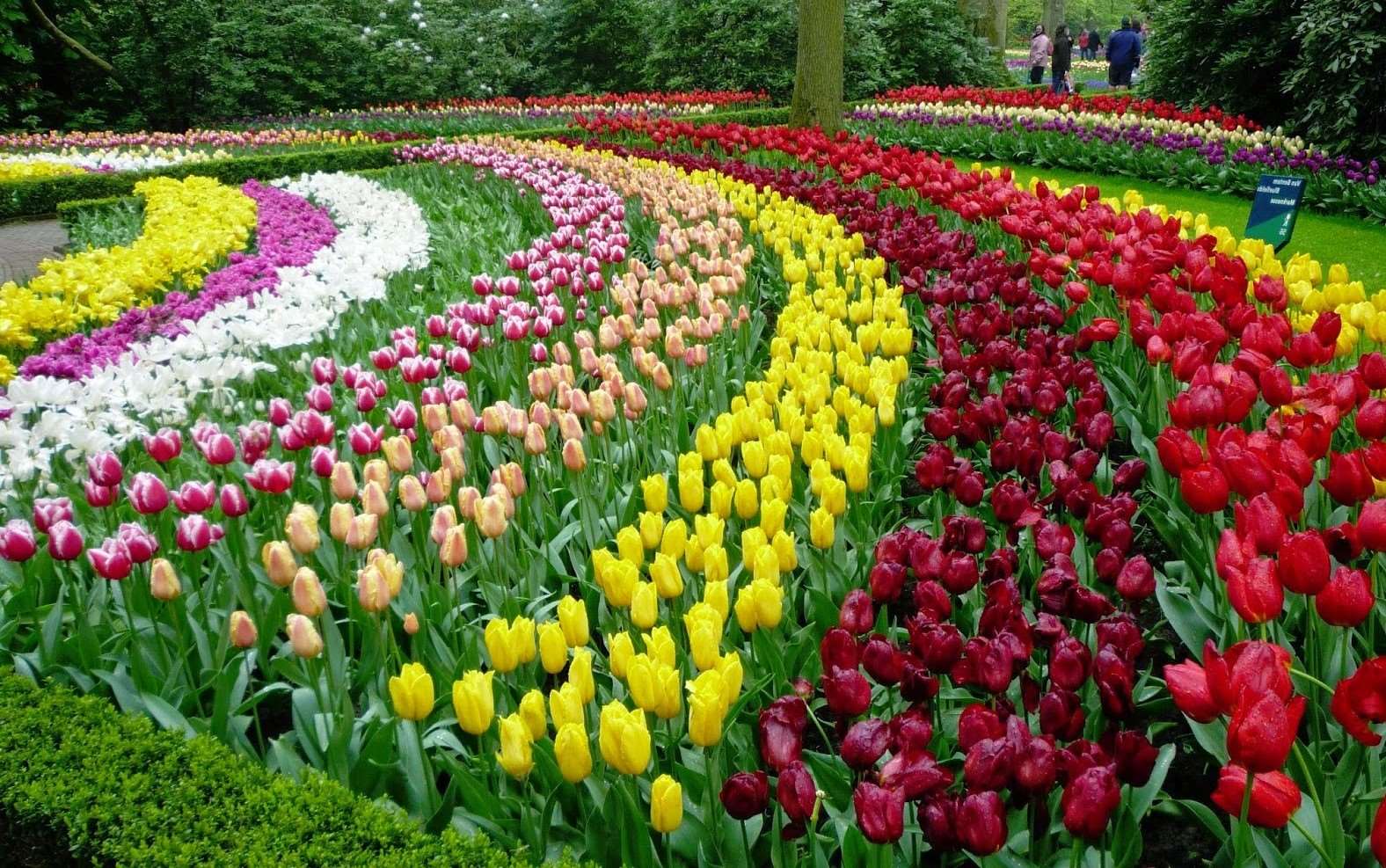https://mdw-travel-data-us-east-1.s3.amazonaws.com/img/country/Vietnam/Da-Lat-Flower-Gardens/img_02.jpg