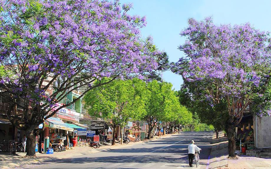 https://mdw-travel-data-us-east-1.s3.amazonaws.com/img/country/Vietnam/Da-Lat-Flower-Gardens/img_03.jpg