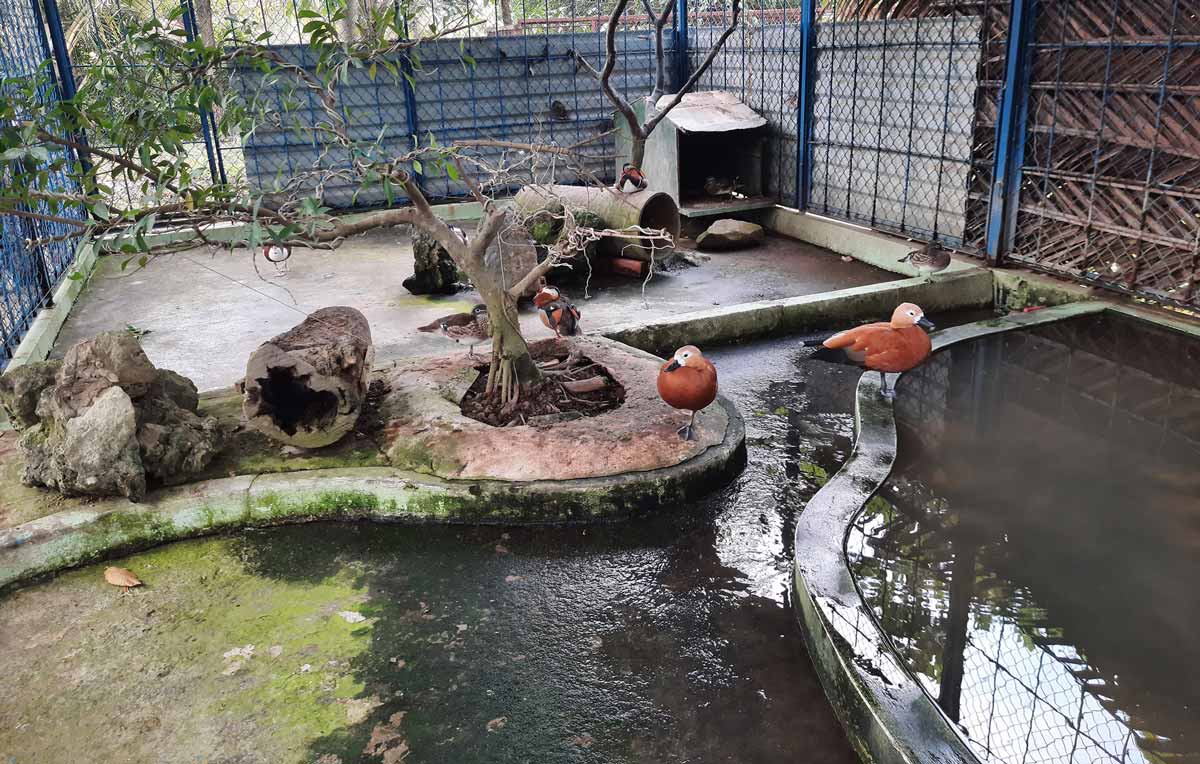 https://mdw-travel-data-us-east-1.s3.amazonaws.com/img/country/Vietnam/Dong-Tam-Snake-Farm/img_00.jpg