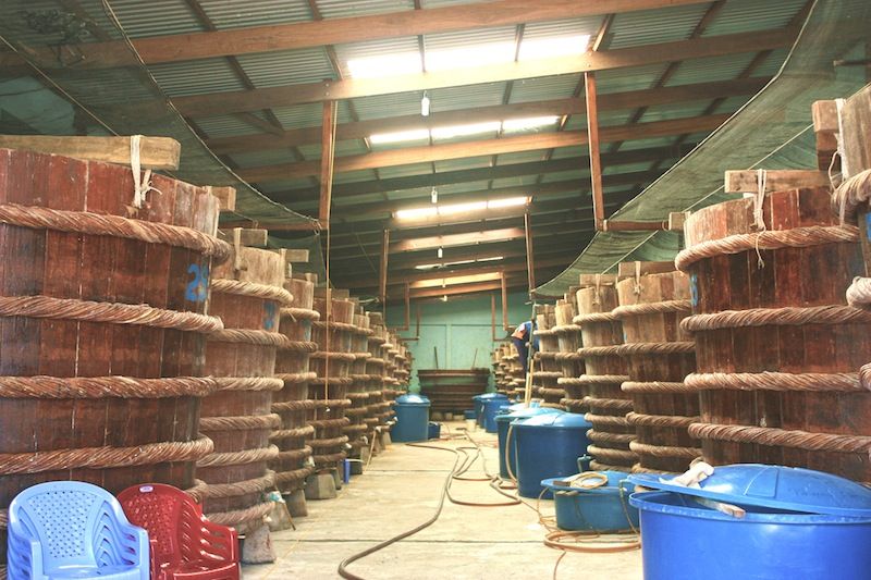 https://mdw-travel-data-us-east-1.s3.amazonaws.com/img/country/Vietnam/Fish-Sauce-Factories/img_02.jpg