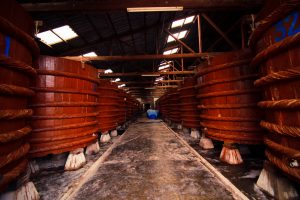 https://mdw-travel-data-us-east-1.s3.amazonaws.com/img/country/Vietnam/Fish-Sauce-Factories/img_03.jpg