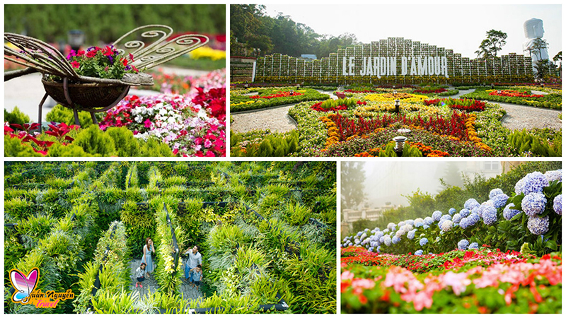 https://mdw-travel-data-us-east-1.s3.amazonaws.com/img/country/Vietnam/Flower-Garden-Le-Jardin-DAmour/img_00.jpg