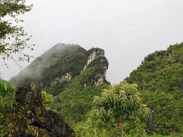 https://mdw-travel-data-us-east-1.s3.amazonaws.com/img/country/Vietnam/Ham-Rong-Mountain/img_03.jpg