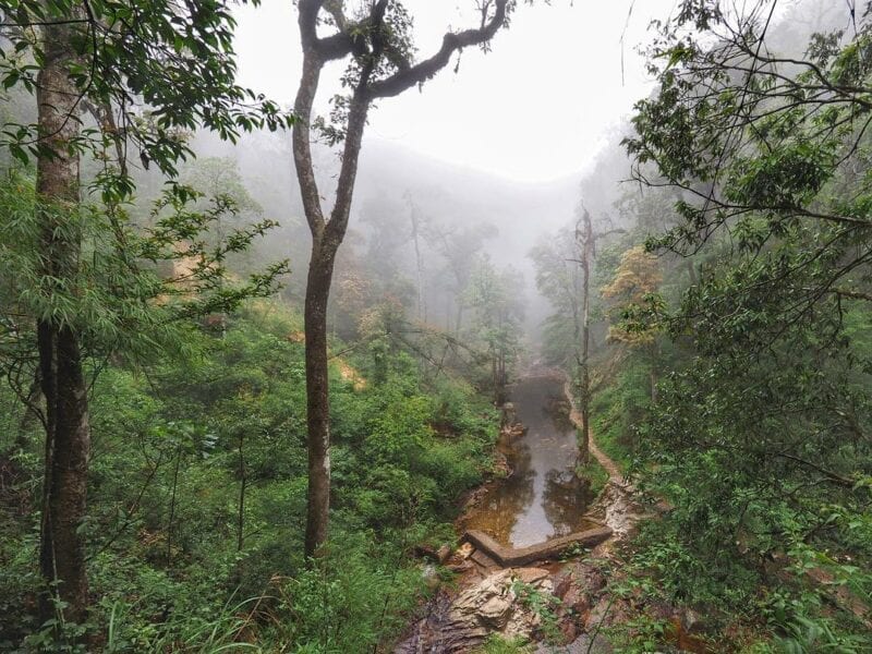 https://mdw-travel-data-us-east-1.s3.amazonaws.com/img/country/Vietnam/Hoang-Lien-National-Park/img_01.jpg