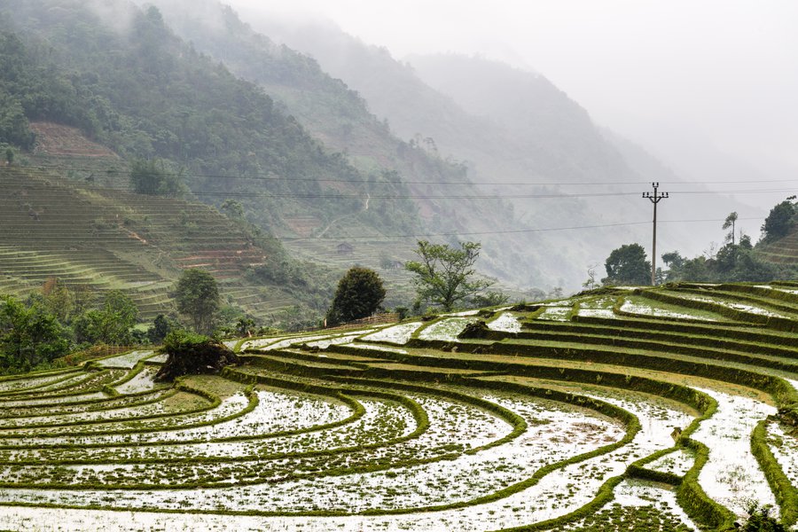 https://mdw-travel-data-us-east-1.s3.amazonaws.com/img/country/Vietnam/Hoang-Lien-National-Park/img_02.jpg