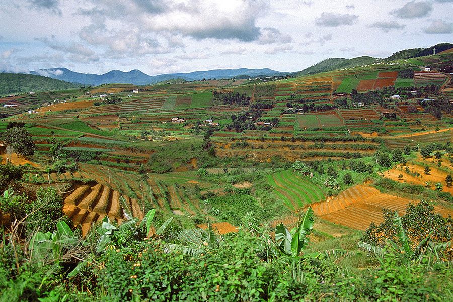 https://mdw-travel-data-us-east-1.s3.amazonaws.com/img/country/Vietnam/Indochine-Wine-Cellar/img_01.jpg