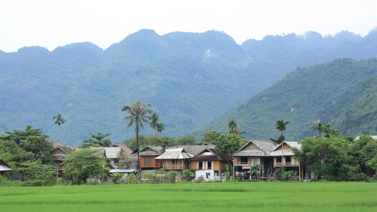 https://mdw-travel-data-us-east-1.s3.amazonaws.com/img/country/Vietnam/Lac-Village/img_05.jpg