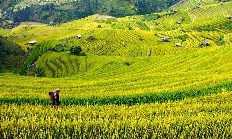 https://mdw-travel-data-us-east-1.s3.amazonaws.com/img/country/Vietnam/Lao-Chai-Village/img_03.jpg