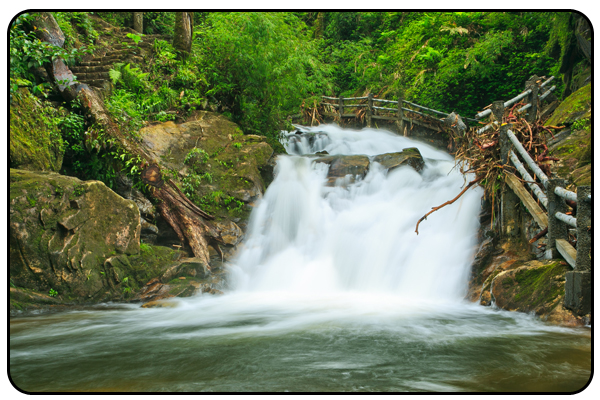 https://mdw-travel-data-us-east-1.s3.amazonaws.com/img/country/Vietnam/Love-Waterfall/img_01.jpg