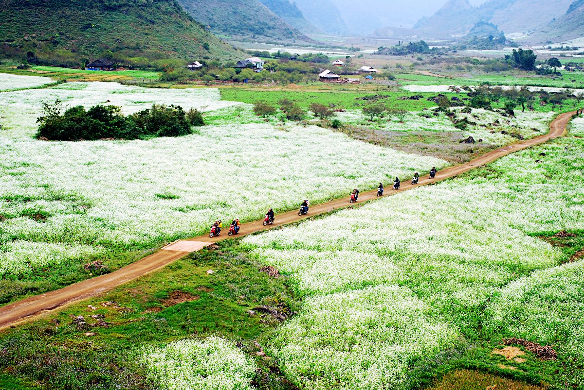https://mdw-travel-data-us-east-1.s3.amazonaws.com/img/country/Vietnam/Moc-Chau-Plateau/img_02.jpg