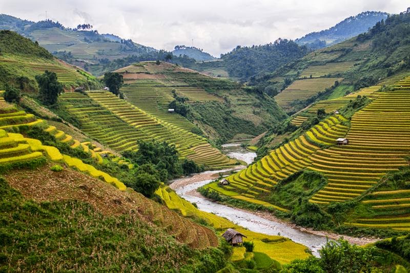 https://mdw-travel-data-us-east-1.s3.amazonaws.com/img/country/Vietnam/Mu-Cang-Chai-Terraced-Fields/img_01.jpg