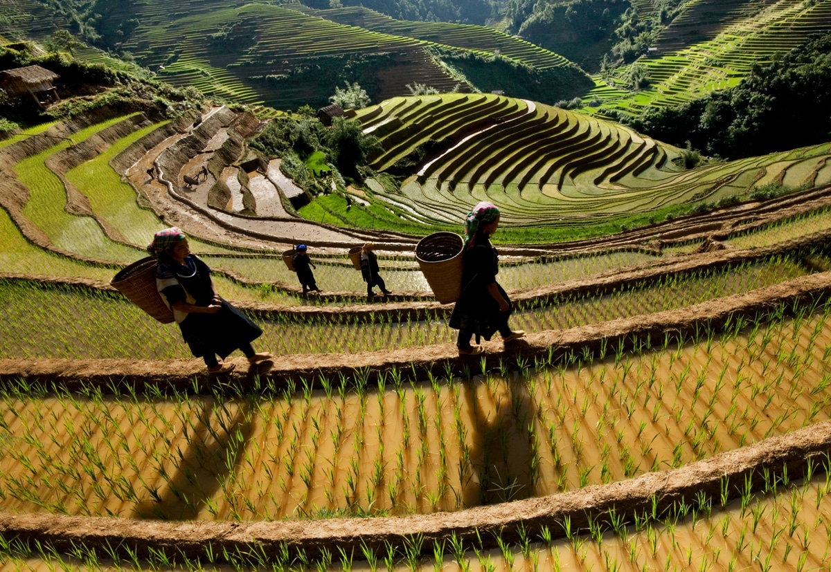 https://mdw-travel-data-us-east-1.s3.amazonaws.com/img/country/Vietnam/Mu-Cang-Chai-Terraced-Fields/img_02.jpg