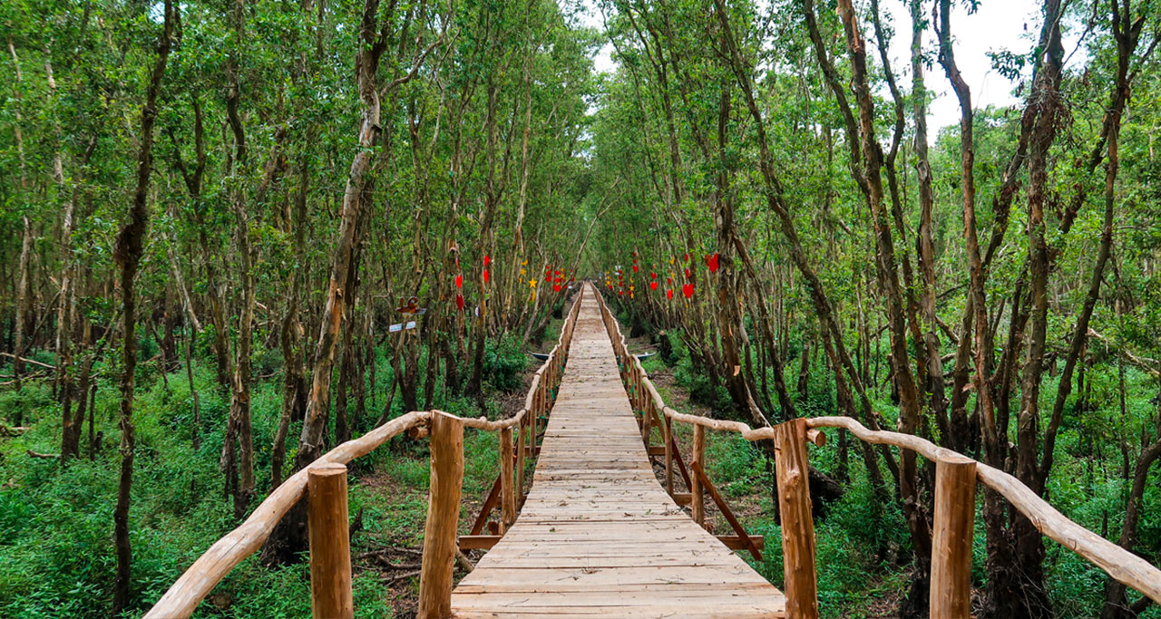 https://mdw-travel-data-us-east-1.s3.amazonaws.com/img/country/Vietnam/Muong-Hoa-Bamboo-Bridge/img_03.jpg
