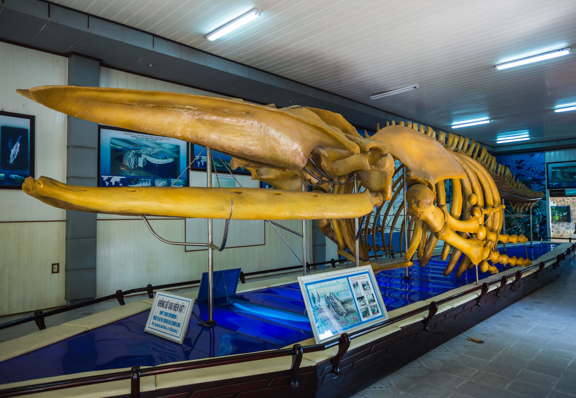 https://mdw-travel-data-us-east-1.s3.amazonaws.com/img/country/Vietnam/National-Oceanographic-Museum-of-Vietnam/img_00.jpg