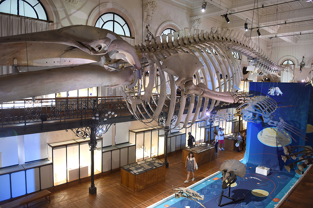 https://mdw-travel-data-us-east-1.s3.amazonaws.com/img/country/Vietnam/National-Oceanographic-Museum-of-Vietnam/img_01.jpg