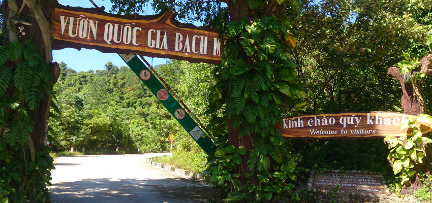 https://mdw-travel-data-us-east-1.s3.amazonaws.com/img/country/Vietnam/Phong-Dien-Nature-Reserve/img_01.jpg