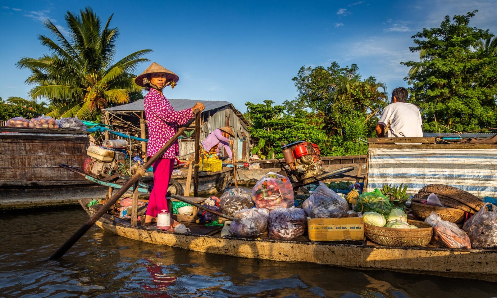 https://mdw-travel-data-us-east-1.s3.amazonaws.com/img/country/Vietnam/Phong-Dien-Nature-Reserve/img_02.jpg
